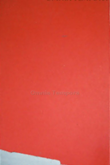 Franco Jonda - Pontormo 1985 - olio su tela - cm 200 x 100
